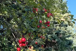 402 3rd St, Cloquet, MN 55720 - Photo 42