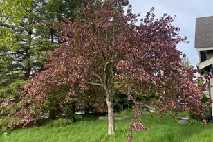 402 3rd St, Cloquet, MN 55720 - Photo 32