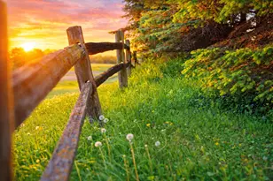 10550 New Prague Blvd, New Prague, MN 56071 - Photo 2