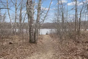 9865 W Railroad Dr, Radisson, WI 54862 - Photo 24