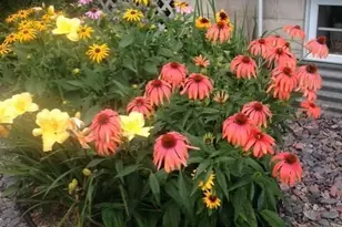 26190 Hale Ct, Wyoming, MN 55092 - Photo 36