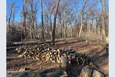 12216 Arcola Trail N, Stillwater, MN 55082 - Photo 6