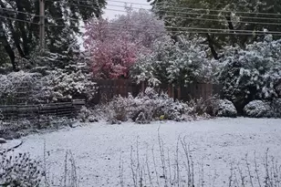 2955 Regent Ave N, Golden Valley, MN 55422 - Photo 40