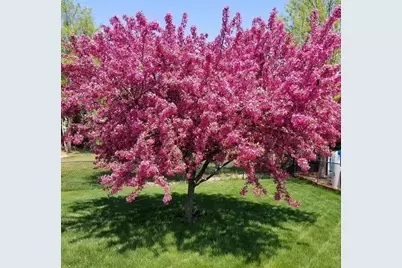 4107 Martin Lane, Hastings, MN 55033 - Photo 42