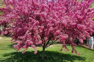 4107 Martin Ln, Hastings, MN 55033 - Photo 42