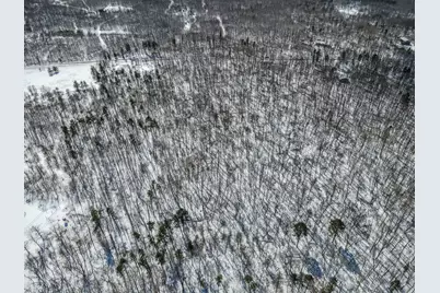 Tbd Evergreen Drive, Nevis, MN 56467 - Photo 12