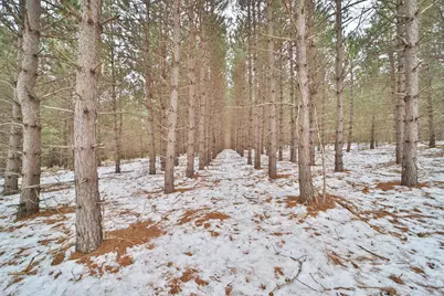 Tbd Sleepy Hollow Road, Brainerd, MN 56449 - Photo 1