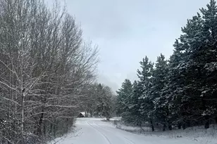 29284 McHugh Rd, Detroit Lakes, MN 56501 - Photo 2