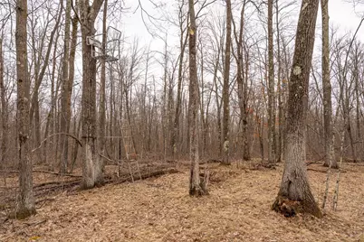 3781 Olympic Street, Isle, MN 56342 - Photo 92