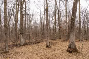 3781 Olympic St, Isle, MN 56342 - Photo 92