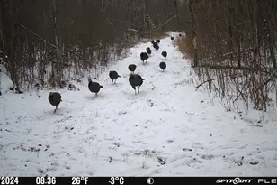 3781 Olympic St, Isle, MN 56342 - Photo 76