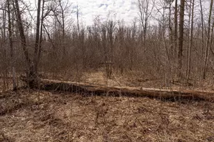 3781 Olympic St, Isle, MN 56342 - Photo 96