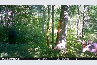 3781 Olympic Street, Isle, MN 56342 - Photo 68