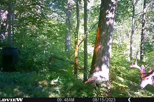 3781 Olympic St, Isle, MN 56342 - Photo 68