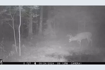 3781 Olympic Street, Isle, MN 56342 - Photo 74