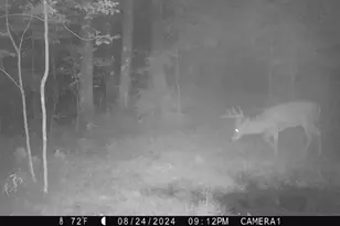 3781 Olympic St, Isle, MN 56342 - Photo 74