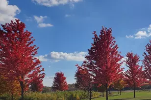 4039 Mallard Pl SE, Rochester, MN 55904 - Photo 38