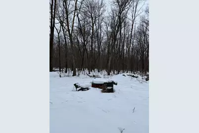 Xxx Merlin Road, Hillman, MN 56338 - Photo 4