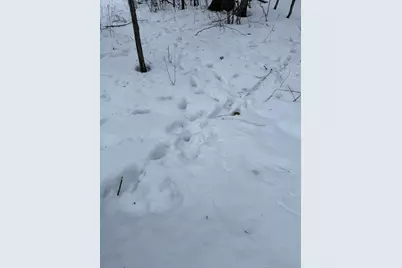 Xxx Merlin Road, Hillman, MN 56338 - Photo 12