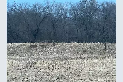 000 160th Avenue, Maiden Rock, WI 54750 - Photo 1