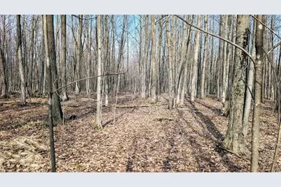 23443 75th Street, New Auburn, WI 54757 - Photo 54