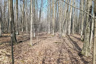 23443 75th St, New Auburn, WI 54757 - Photo 54