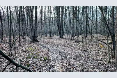 23443 75th Street, New Auburn, WI 54757 - Photo 56