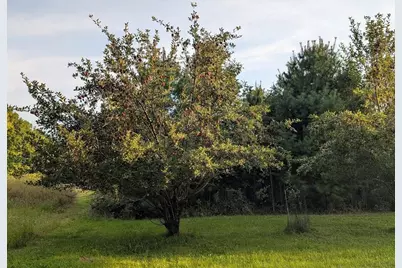 23443 75th Street, New Auburn, WI 54757 - Photo 42