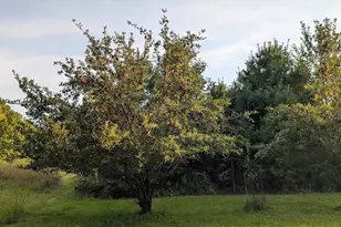 23443 75th St, New Auburn, WI 54757 - Photo 42