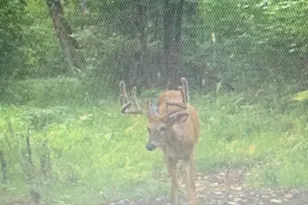 41273 Swede Alley, Hinckley, MN 55037 - Photo 92