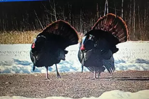 41273 Swede Alley, Hinckley, MN 55037 - Photo 96