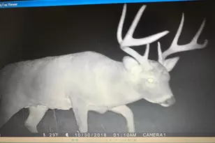 41273 Swede Alley, Hinckley, MN 55037 - Photo 94