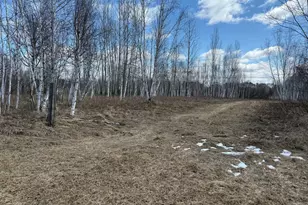 41273 Swede Alley, Hinckley, MN 55037 - Photo 70