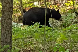 28671 Chalet Rd, Danbury, WI 54830 - Photo 38