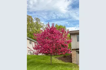 13863 62nd Avenue N, Maple Grove, MN 55311 - Photo 36