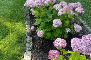 3974 Orchardview Ln NW, Rochester, MN 55901 - Photo 52