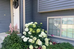 3974 Orchardview Ln NW, Rochester, MN 55901 - Photo 48