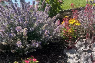 3974 Orchardview Ln NW, Rochester, MN 55901 - Photo 54