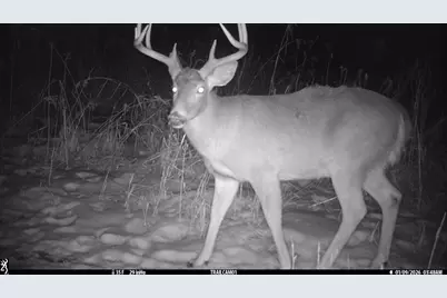 N35194 Przybilla Lane, Independence, WI 54747 - Photo 62