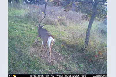 N35194 Przybilla Lane, Independence, WI 54747 - Photo 14
