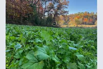 N35194 Przybilla Lane, Independence, WI 54747 - Photo 18