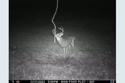 N35194 Przybilla Lane, Independence, WI 54747 - Photo 48