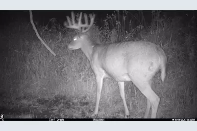 N35194 Przybilla Lane, Independence, WI 54747 - Photo 60