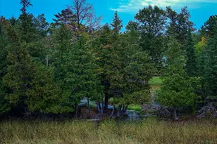 38700 Osprey Trail, Laporte, MN 56461 - Photo 10