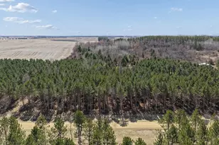 Xxxx (Lot 21) 119th Ave, Roberts, WI 54023 - Photo 1