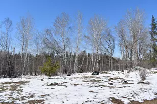 15956 Hines Rd, Brainerd, MN 56401 - Photo 18