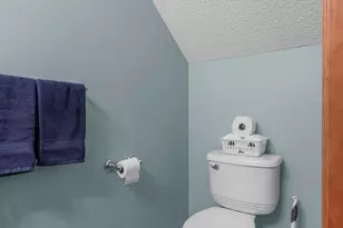 15124 French Dr N, Hugo, MN 55038 - Photo 18