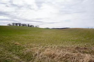 17231 330 Ave, Frazee, MN 56544 - Photo 48