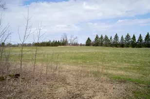 17231 330 Ave, Frazee, MN 56544 - Photo 46