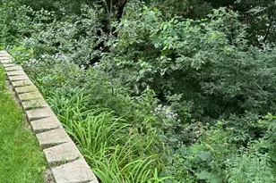 6204 39th Ave N, Crystal, MN 55422 - Photo 46